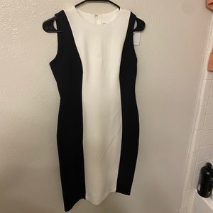 Black and White Calvin Klein Dress - 4P